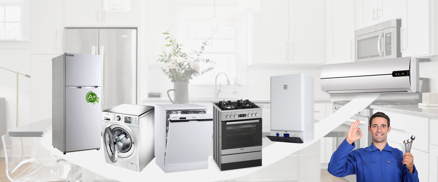 Nallıhan Electrolux Servisi